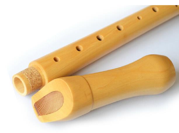 Деревянный рекордер в немецком – обзор и цена Musical Instrument German